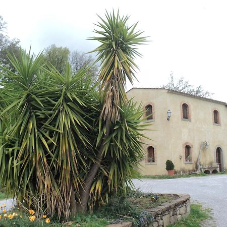 Agriturismo Il Daino Villa San Piero Patti Exterior foto