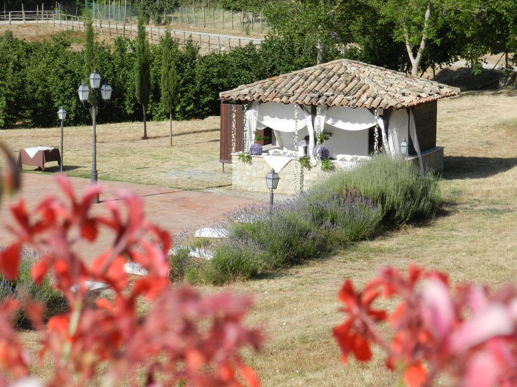 Agriturismo Il Daino Villa San Piero Patti Exterior foto