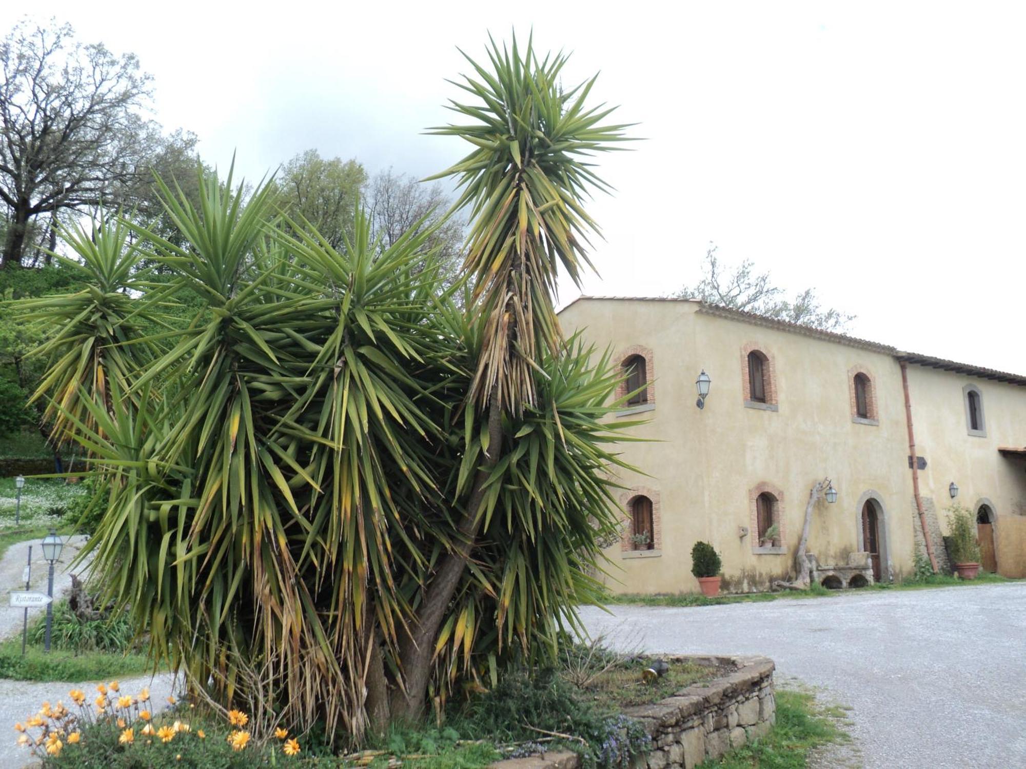 Agriturismo Il Daino Villa San Piero Patti Exterior foto