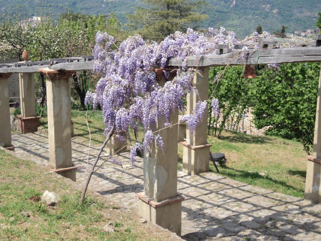 Agriturismo Il Daino Villa San Piero Patti Exterior foto